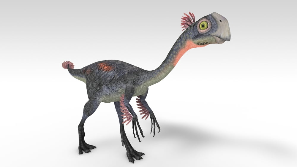 Gigantoraptor dinosaur white background Canvas Art - Kostyantyn IvanyshenStocktrek Images (38 x 22)