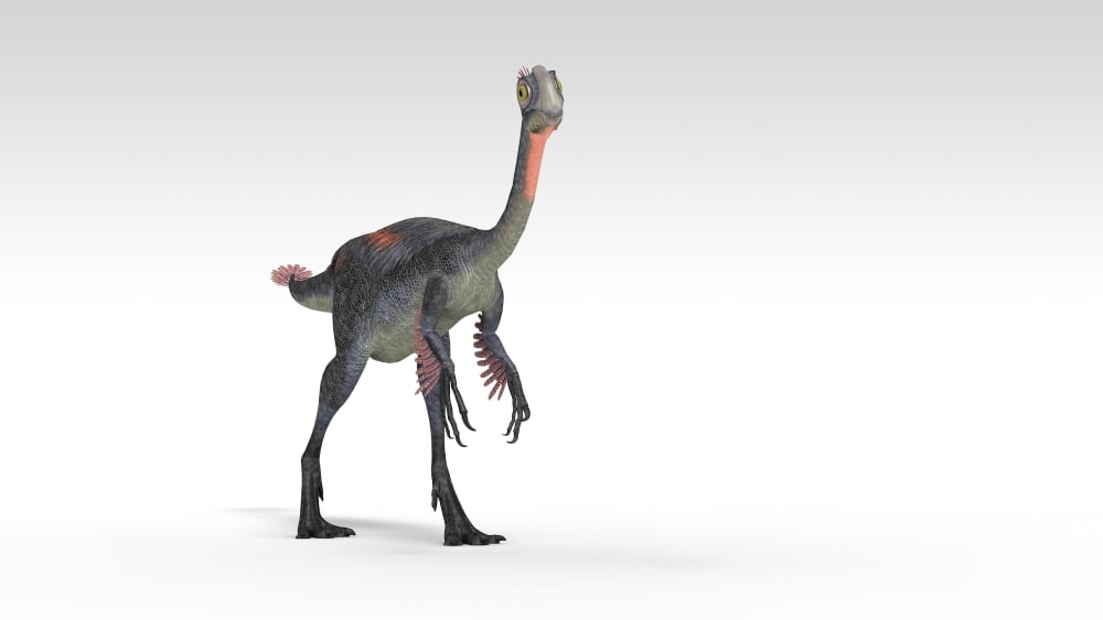 Gigantoraptor dinosaur white background Canvas Art - Kostyantyn IvanyshenStocktrek Images (38 x 22)