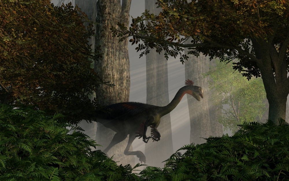 Gigantoraptor in a dense prehistoric forest Canvas Art - Daniel EskridgeStocktrek Images (18 x 12)