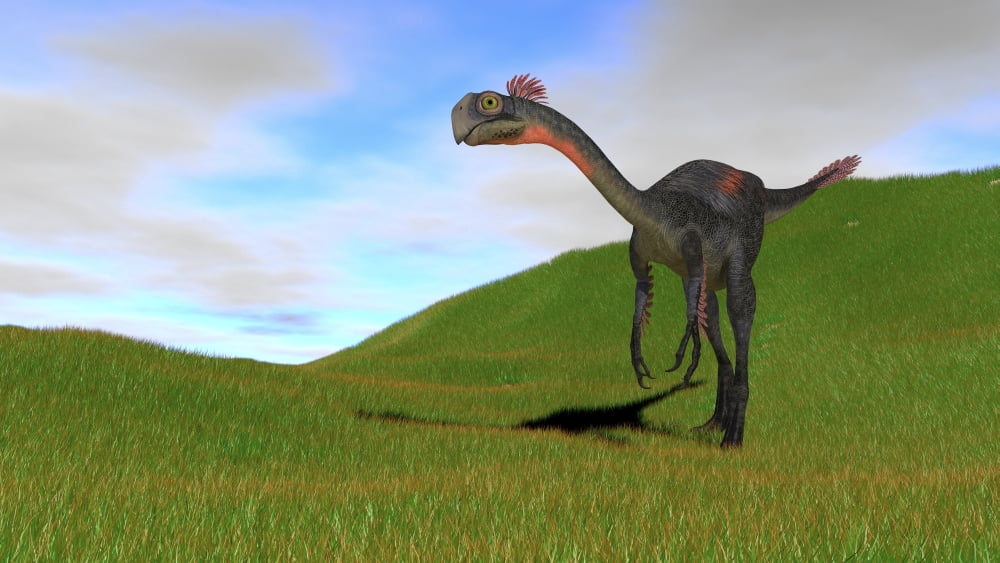 Gigantoraptor in a grassy field Canvas Art - Kostyantyn IvanyshenStocktrek Images (38 x 22)