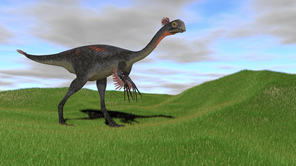 Gigantoraptor in a grassy field Canvas Art - Kostyantyn IvanyshenStocktrek Images (38 x 22)