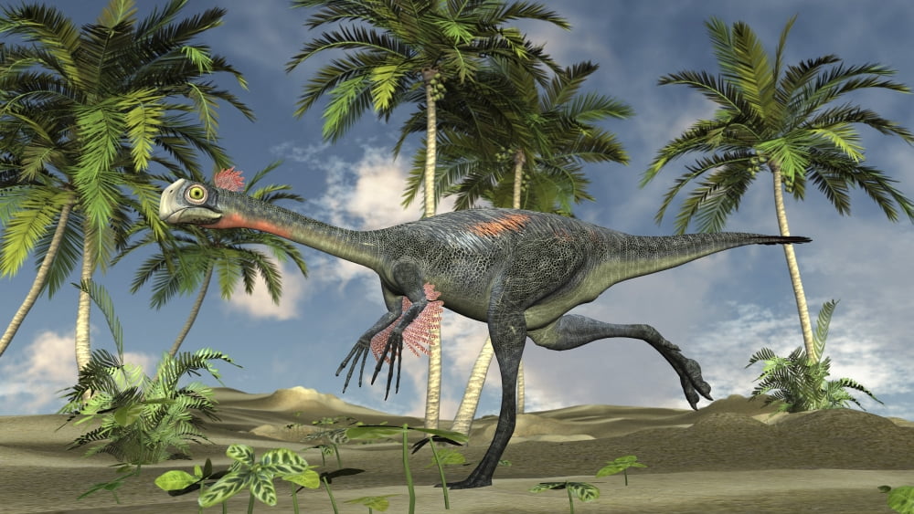 Gigantoraptor running Canvas Art - Kostyantyn IvanyshenStocktrek Images (19 x 11)