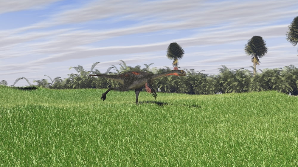 Gigantoraptor running across an open field Canvas Art - Kostyantyn IvanyshenStocktrek Images (19 x 11)