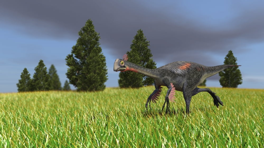 Gigantoraptor running across an open field Canvas Art - Kostyantyn IvanyshenStocktrek Images (19 x 11)