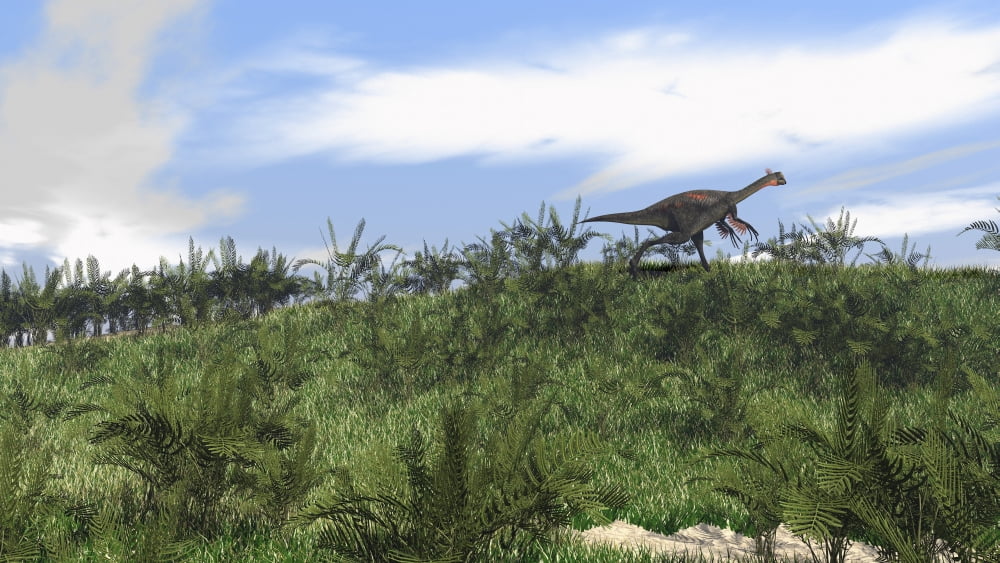 Gigantoraptor running across an open field Canvas Art - Kostyantyn IvanyshenStocktrek Images (19 x 11)