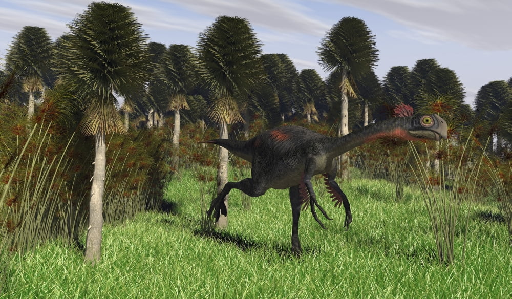 Gigantoraptor running through woodlands Canvas Art - Kostyantyn IvanyshenStocktrek Images (19 x 11)