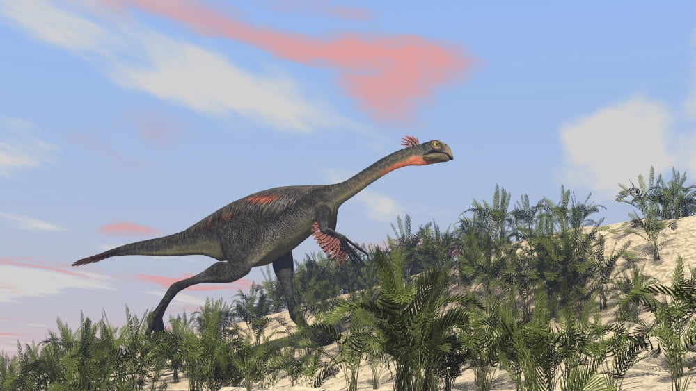 Gigantoraptor running up a hill Canvas Art - Kostyantyn IvanyshenStocktrek Images (38 x 22)
