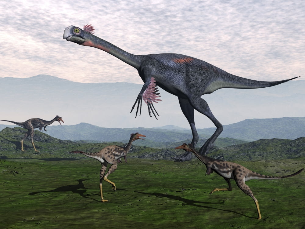 Gigantoraptor surrounded by small Mononykus dinosaurs Canvas Art - Elena DuvernayStocktrek Images (33 x 25)