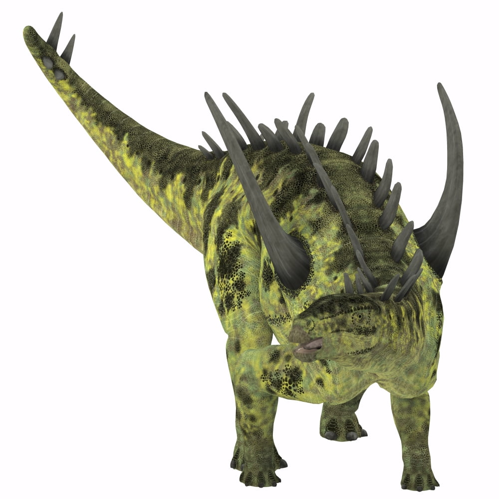 Gigantspinosaurus dinosaur white background Canvas Art - Corey FordStocktrek Images (28 x 28)