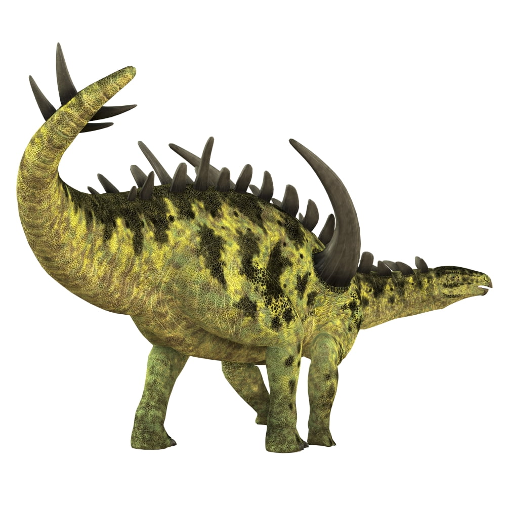 Gigantspinosaurus dinosaur white background Canvas Art - Corey FordStocktrek Images (28 x 28)