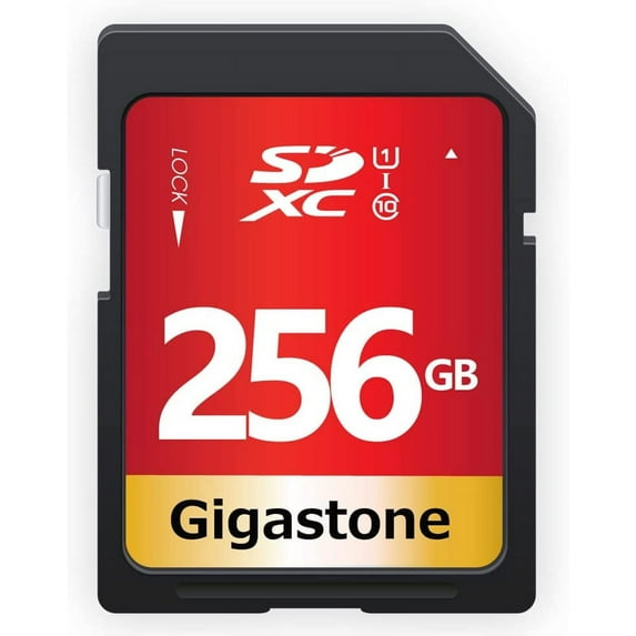 Gigastone 256GB SDXC UHS-I U1 Class 10 Flash Memory Card