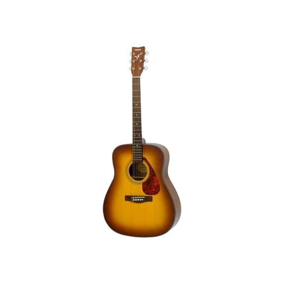 Gigmaker Standard F325 Acoustic Guitar