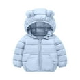 thumbnail image 1 of GigrtiJin 12 Months-6 Years Infant Baby Toddler Down Jacket Solid Color Bear Hooded Zipper Long Sleeve Outwear with Pocket, 1 of 5