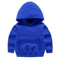 thumbnail image 1 of GigrtiJin Infant Toddler Children Cotton Hoodies Solid Color Hooded Long Sleeve Sweatshirt with Pocket 18 Months-8 Years, 1 of 3