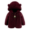 thumbnail image 1 of GigrtiJin Newborn Baby Boys Girls Hooded Jacket Coat Todder Kids Warm Outwear Infant Zip up Fleece Coat with Ears, 1 of 6