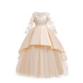thumbnail image 1 of GigrtiJin Tulle Dress for Girls Solid Color Crew Neck Long Sleeve Floral Printed Hollow Lace Maxi Dress Banquet Vintage Princess Dress, 1 of 7