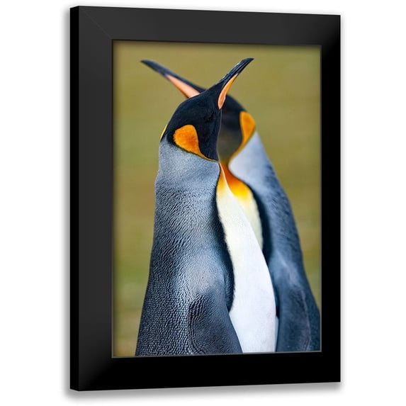 Gil Raga, Joan 13x18 Black Modern Framed Museum Art Print Titled - King Penguin