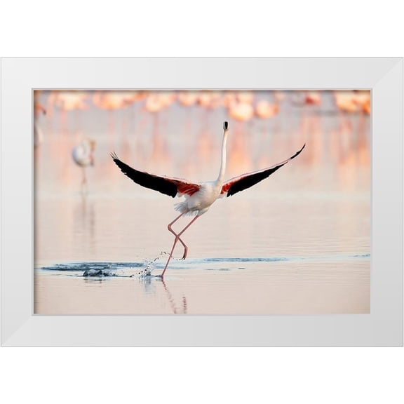 Gil Raga, Joan 14x11 White Modern Wood Framed Museum Art Print Titled - Flamingo Dancing