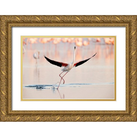 Gil Raga, Joan 24x17 Gold Ornate Wood Framed with Double Matting Museum Art Print Titled - Flamingo Dancing