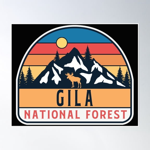 Gila National Forest Poster Wall Art, Modern Wall Decor, 8x12 UNFRAMED