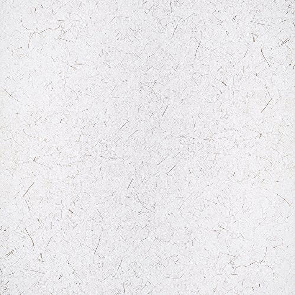 Gila Privacy Control Rice Paper Residential Window Film DIY Static ...