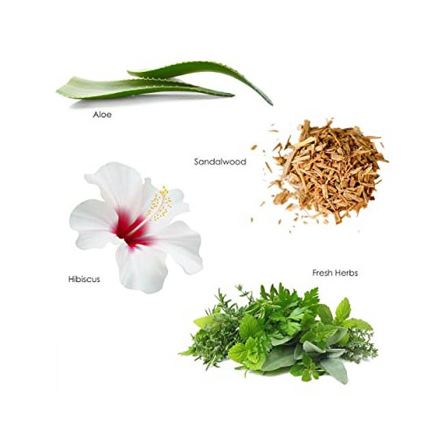 Gilchrist & Soames Zero Shower Gel and Body Wash 15.5oz Zero