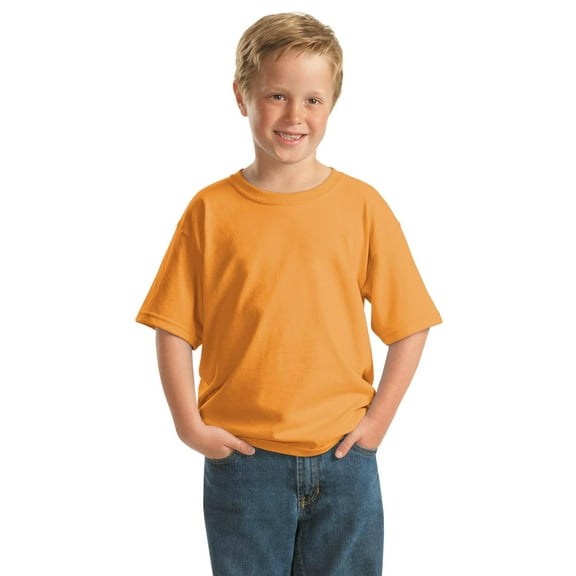 Gildan Boys 100 Percent Cotton Short Sleeve Taped Neck T-Shirt. 5000B