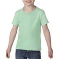 thumbnail image 1 of Gildan G510P Toddler Heavy Cotton T-Shirt, 1 of 4