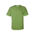 thumbnail image 1 of Gildan Mens Heavy Cotton T-Shirt

, S, Kiwi (Pack of 2) 2 Kiwi, 1 of 1