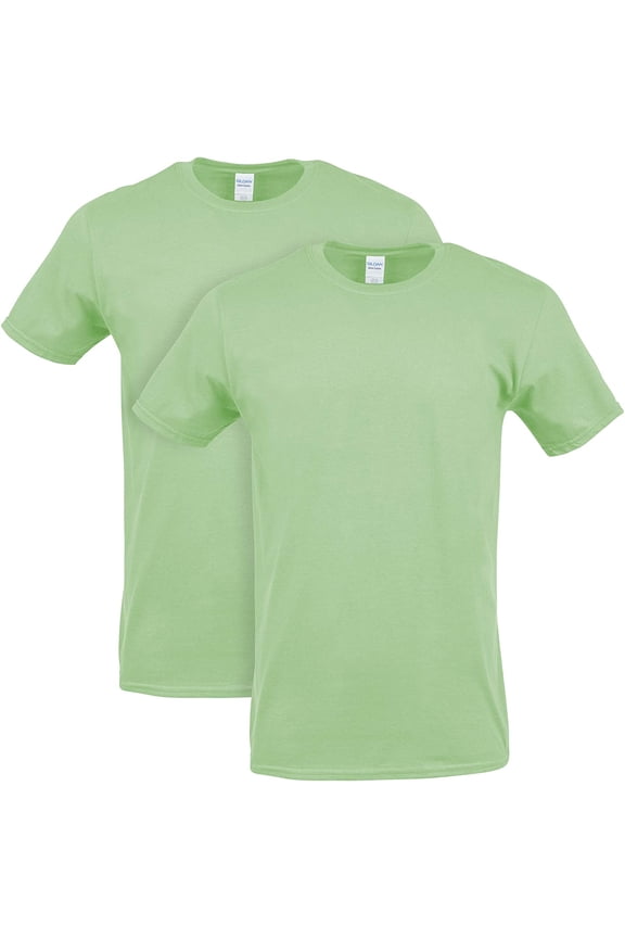 Mens Heavy Cotton T-Shirt, Style G5000, Multipack 2 Mint Green 2-pack Large