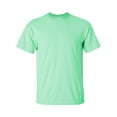 thumbnail image 1 of Gildan Ultra Cotton T-Shirt for Men and for Women Plain Classic Fit, 1 of 5