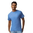 thumbnail image 1 of Gildan Unisex Ultra Cotton Crewneck T-Shirt Classic Tee Shirt (Iris, 2XL), 1 of 7
