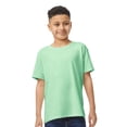 thumbnail image 1 of Gildan Youth Heavy Cotton Short Sleeve T-Shirt Craft and DIY Crew Tees (Mint Green, XS), 1 of 8