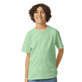 thumbnail image 1 of Gildan Youth Ultra Cotton T-Shirt, Youth Crewneck T-Shirt, Cotton Kids Short Sleeve Tee, Mint Green, M, 1 of 5