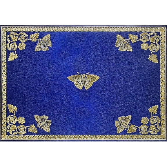 Gilded Butterflies Note Cards (Other)