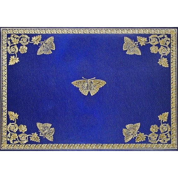 Gilded Butterflies Note Cards (Other)