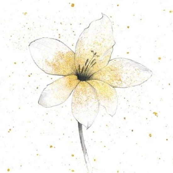 Gilded Graphite Floral II Canvas Art - Avery Tillmon (24 x 24)