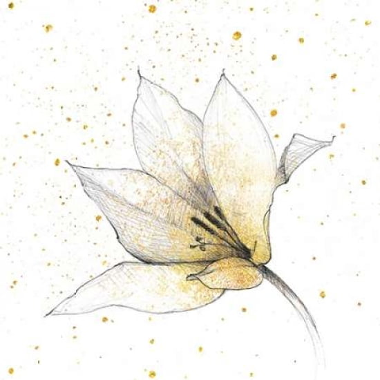 Gilded Graphite Floral IX Canvas Art - Avery Tillmon (24 x 24)