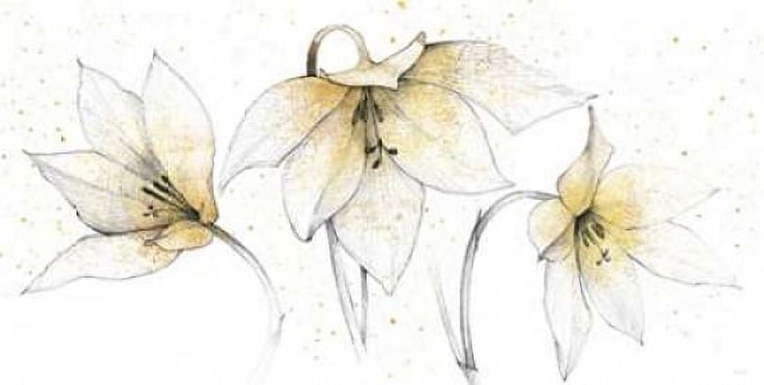 Gilded Graphite Floral Trio Canvas Art - Avery Tillmon (24 x 48)