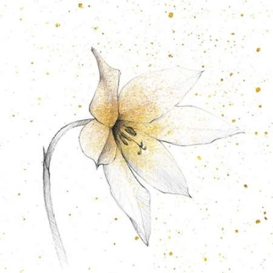 Gilded Graphite Floral VIII Canvas Art - Avery Tillmon (24 x 24)