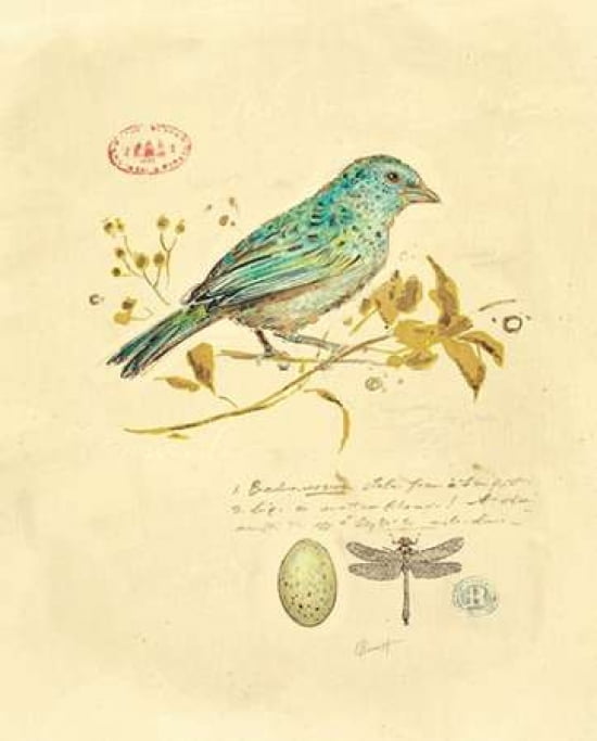 Gilded Songbird 1 Canvas Art - Chad Barrett (22 x 28)