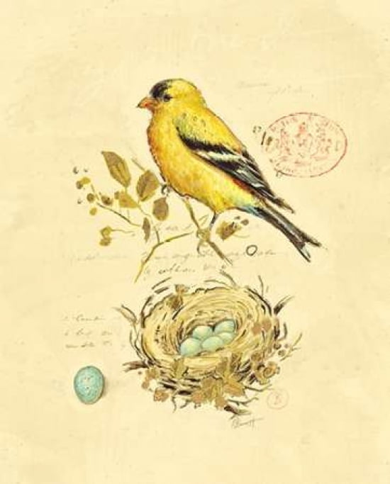Gilded Songbird 2 Canvas Art - Chad Barrett (22 x 28)