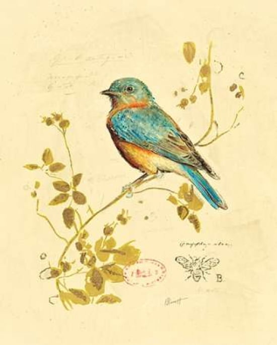 Gilded Songbird 4 Canvas Art - Chad Barrett (22 x 28)
