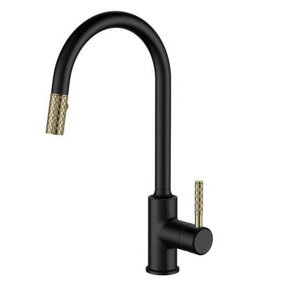 Gilded Textured Pull-Out Kitchen Faucet in MATTE BLACK & GOLD