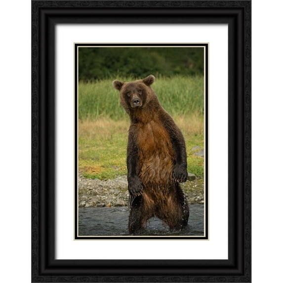 Gill, Barbara 17x24 Black Ornate Wood Framed with Double Matting Museum Art Print Titled - Hey There