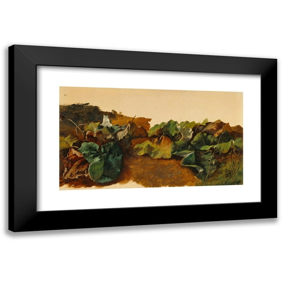 Gilles-François-Joseph Closson 24x15 Black Modern Framed Museum Art Print Titled - Large Butterburr Leaves and Grass (About 1825-1829)