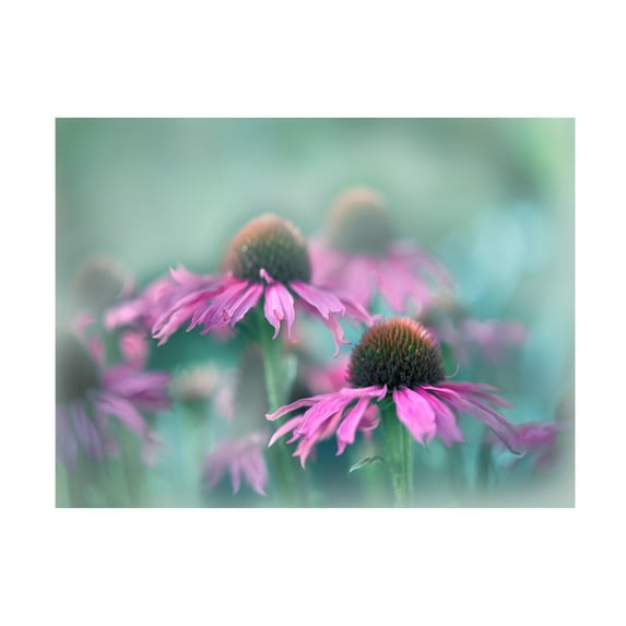 Gillian Hunt 'Sing to the Sun III' Canvas Art