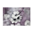thumbnail image 1 of Gillian Hunt 'Tales from an Enchanted Glen IV' Canvas Art, 1 of 4