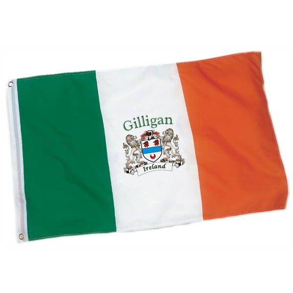 Gilligan Irish Coat of Arms Heavy Duty Outdoor Ireland Flag - 2'x3'