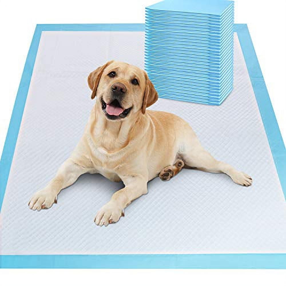 Largest pee pads for dogs hotsell